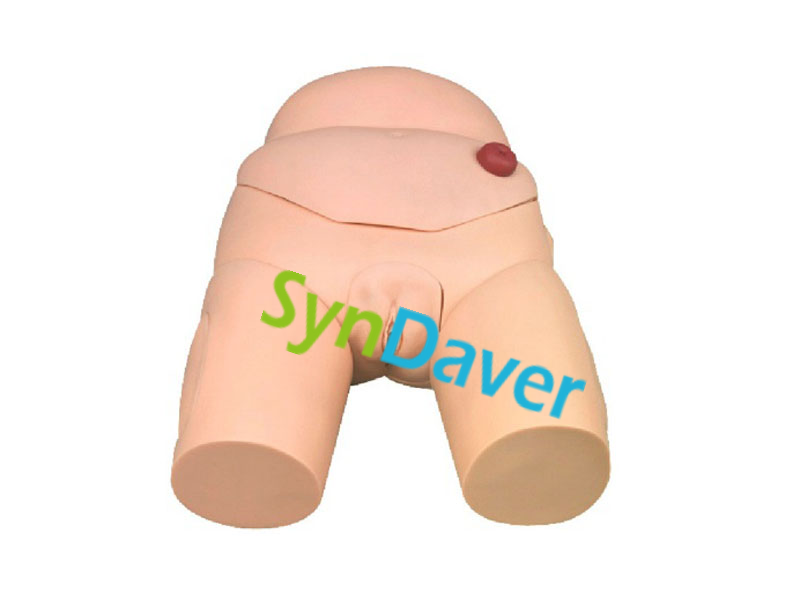 655b0bc6593d30d0445db0af6a59022b