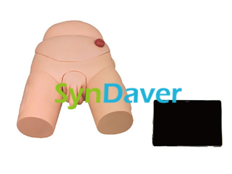 03163d87922cd4006d00a3f3265e079c