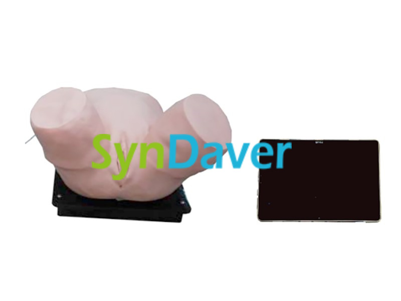 8ac905901cc72dba26611f351958e5fc