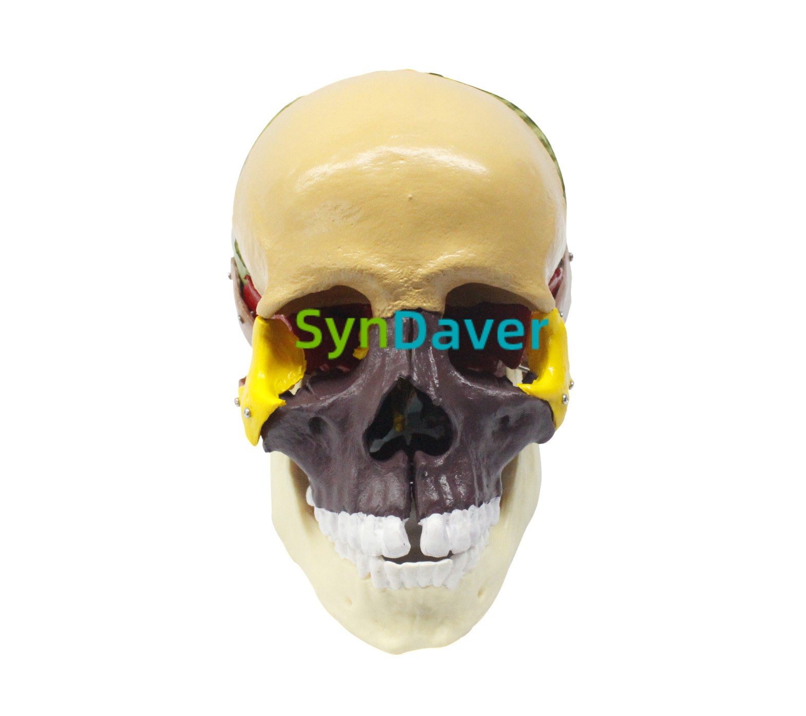 495e312320230a9f865aa4b64e60521f