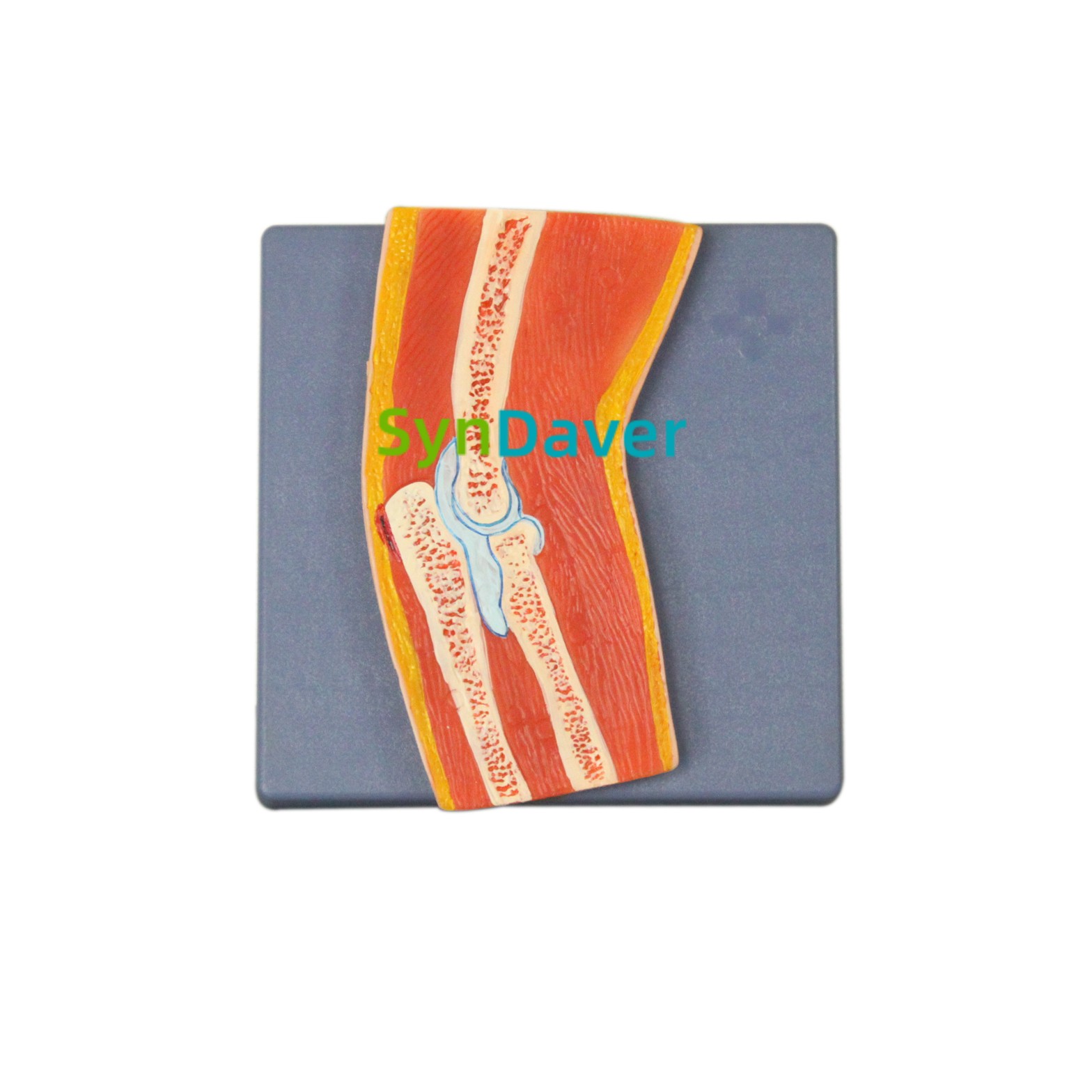 ffe695cae3ab7902adba0bf435d8ee80