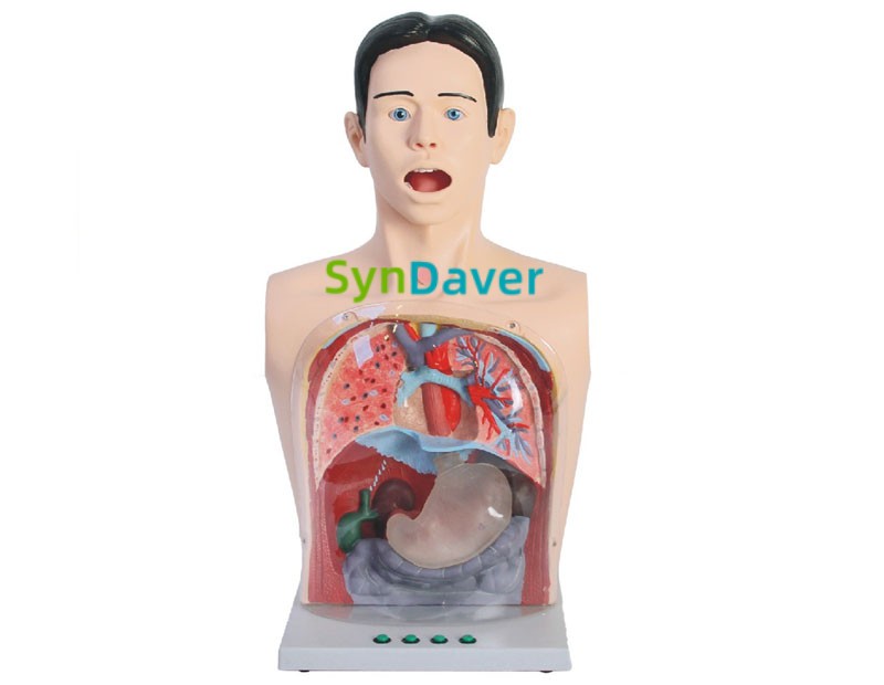 fe125fae72df60bec3b761e767f6d913