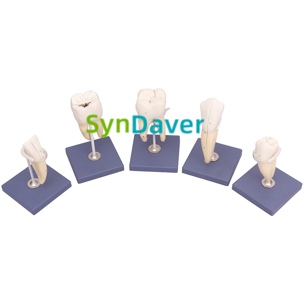 4fbd69ff20a22ac41090d19bd8eb3fcf