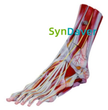 3080ecc8b66cc2dc16a577ca3cc6bda5