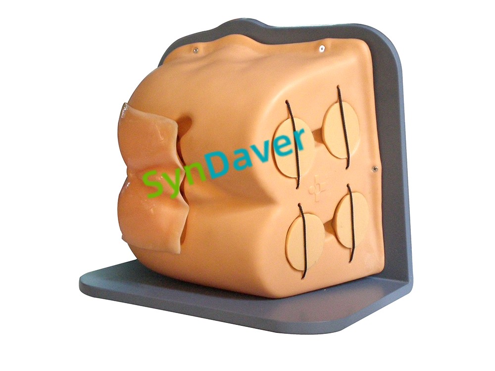 a15b91296b961ff01d81ab13cb0cb707