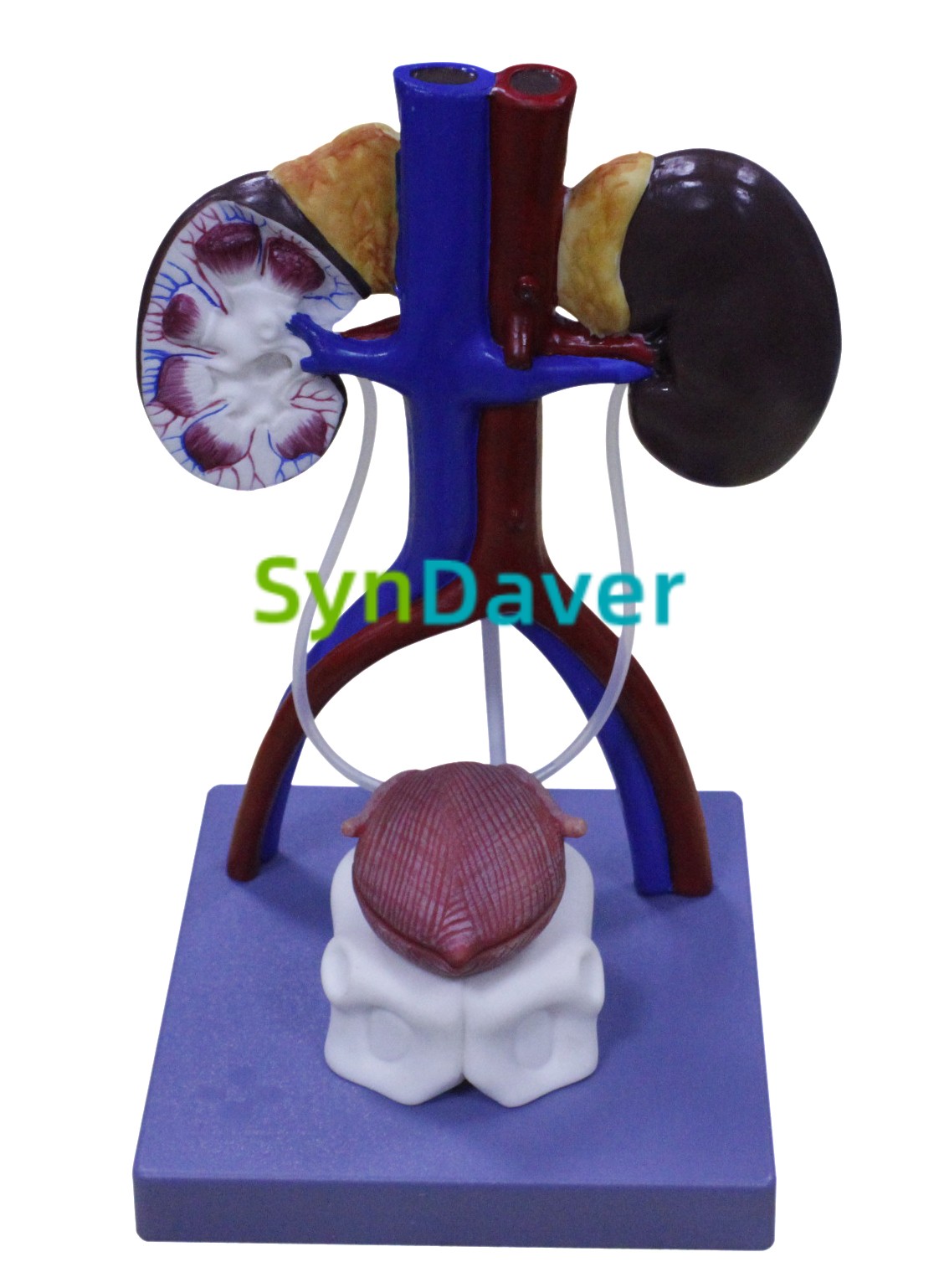 3a1055f848f7c2b0d9c84756aa250ae9