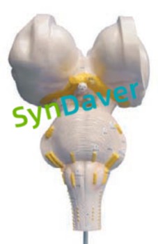 19dd6460912890a87159a0cff512ffe8