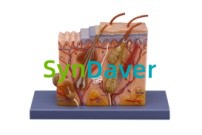 bd6a82a25cceaa85ebe1de9605faf4c3