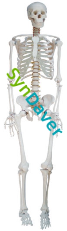 04cbb52ff6714639d845ec4585ea639e