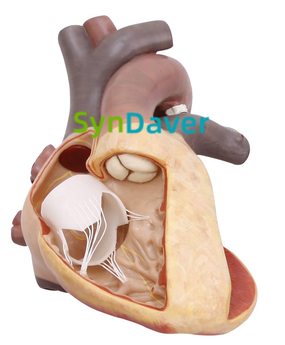 dd0fefb2f9d46c8e2bd23cbd67c0e6ec