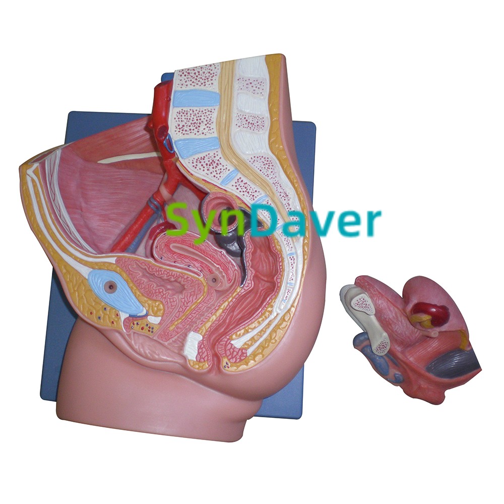 dc0afb5bdcdcbc548b67429bc124d43d