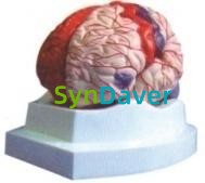 44ab3c270dc0a3b68c8d04a4526274b6