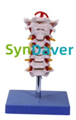 12029edaa17dd24293de03e566797bba