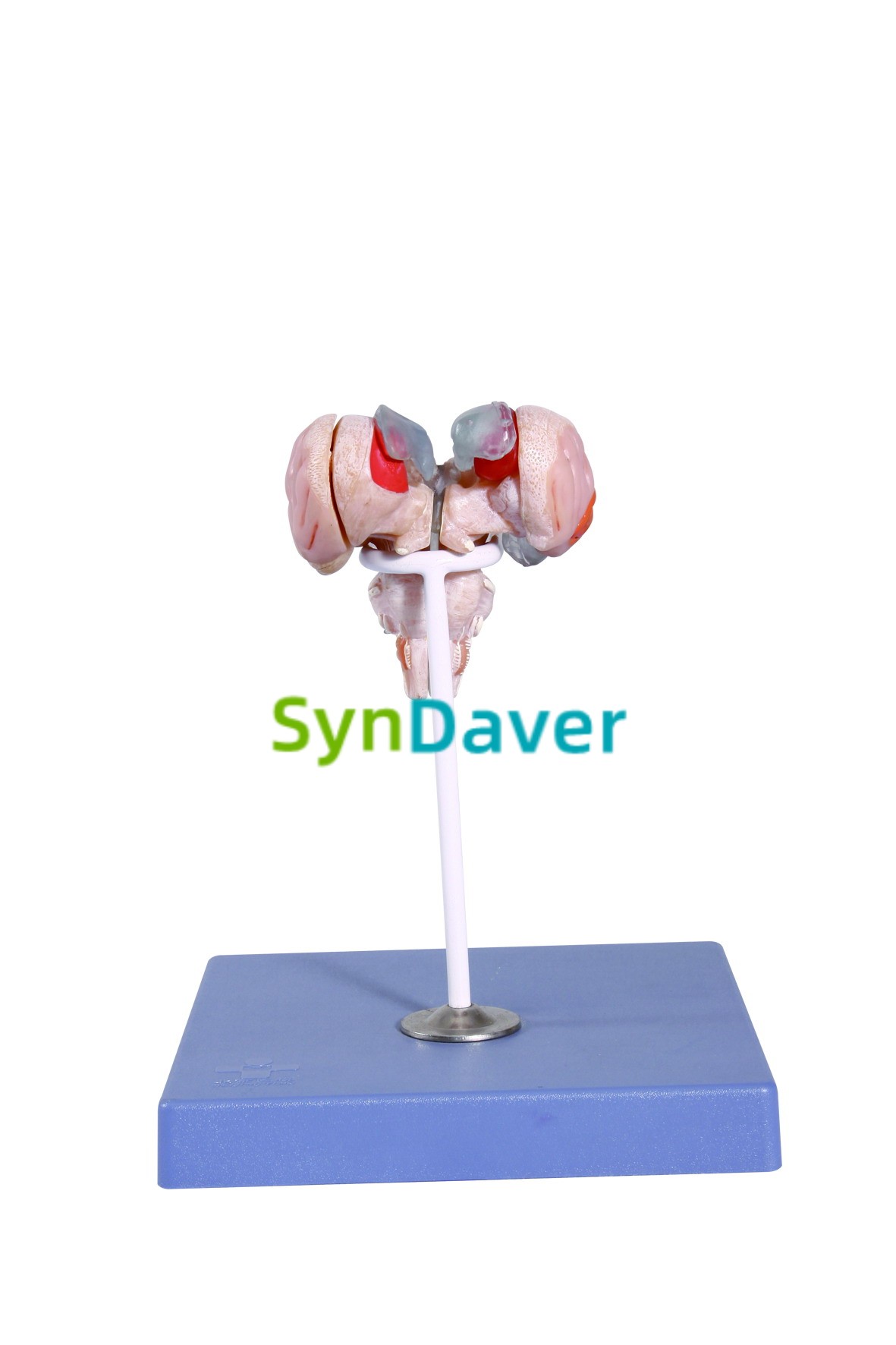 f20012d3b737f042c770c851fad512fd