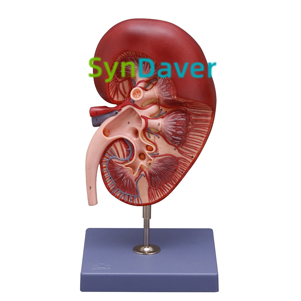 17810dfb1d9cfa5b02cbf61f68753664