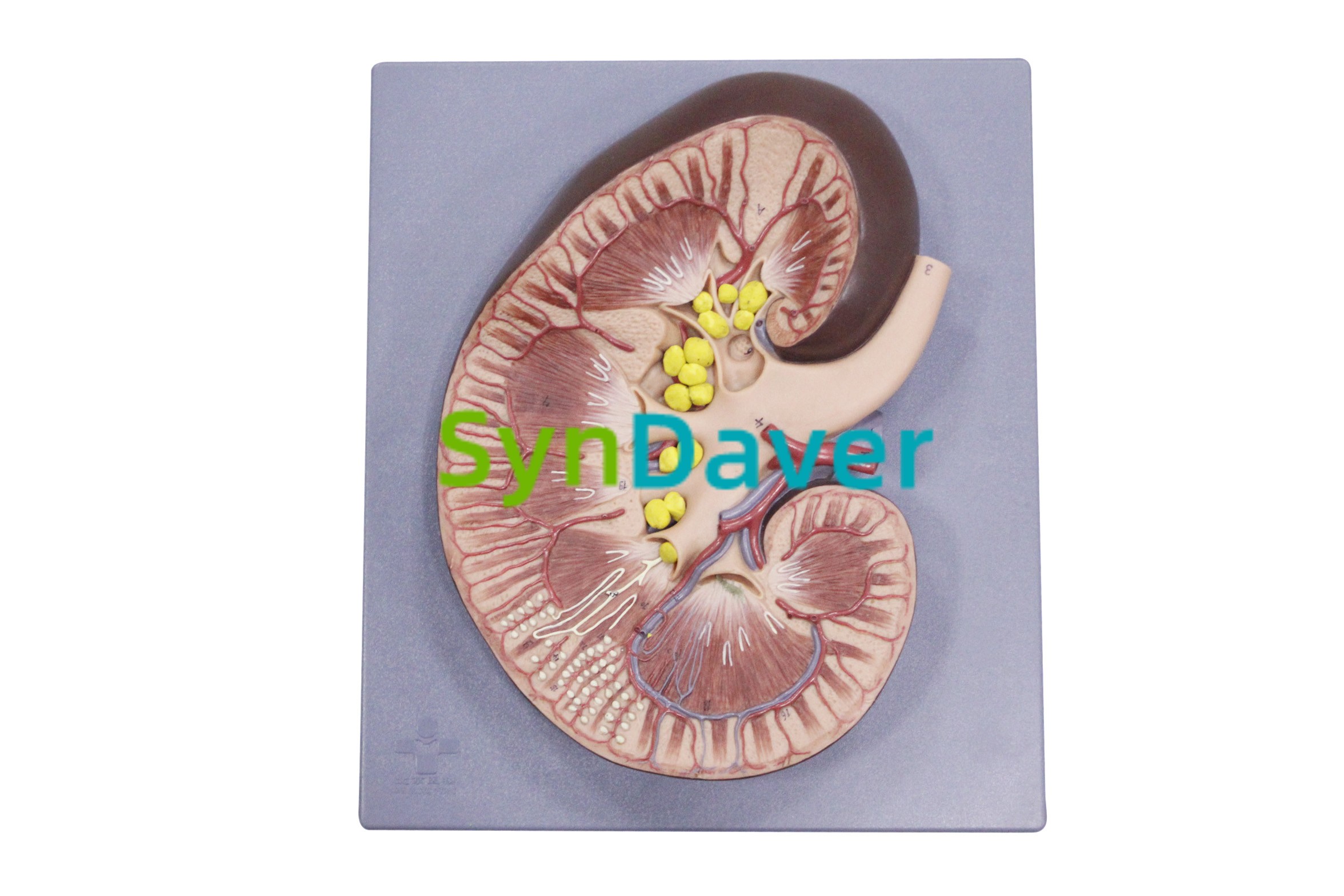 108c06274f882f3ef10af01b10f897bb