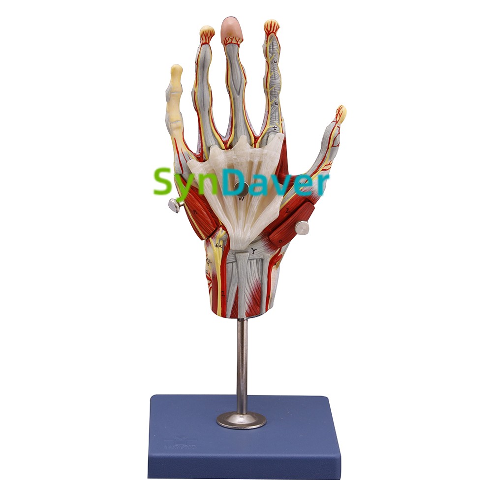 45ffbabefaf4612574ec4348b3f37bf8