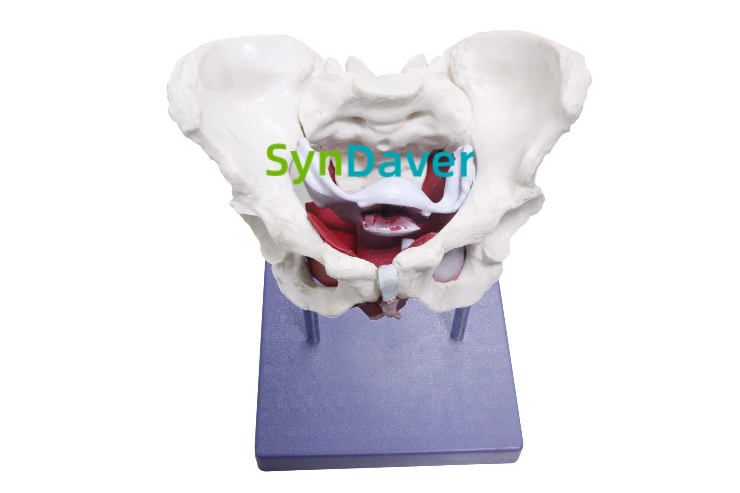 4221c3b1d6ae05287ad6d9d1eb49181e