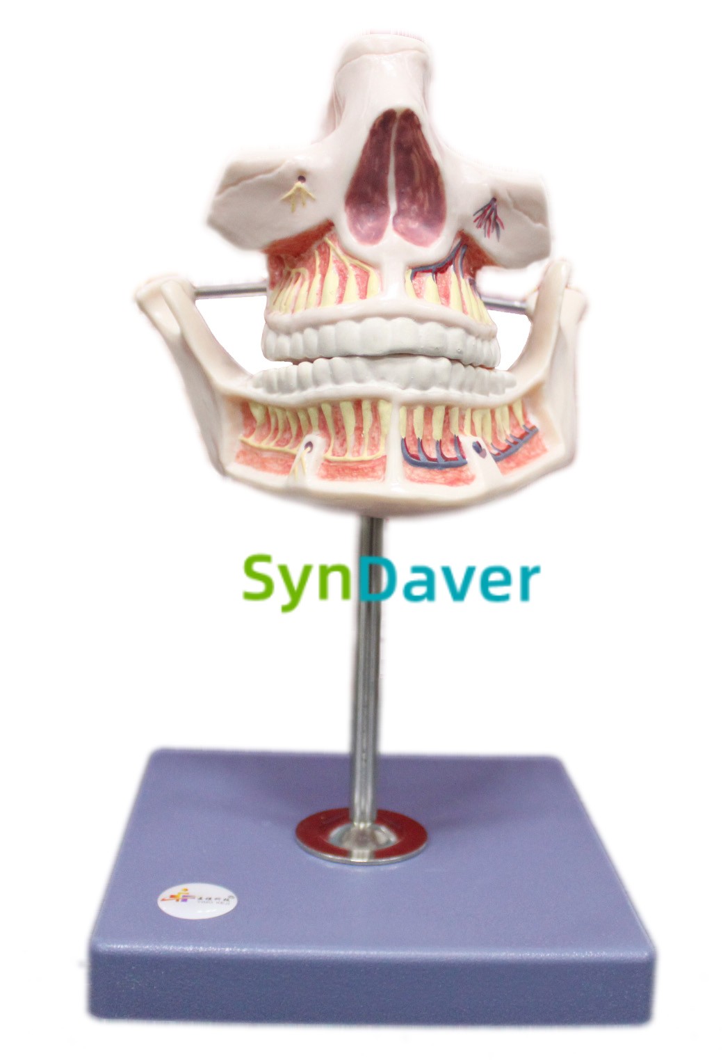 041923b3276d2a877b715d133956f4c9