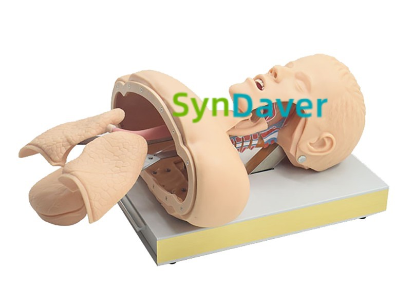 86fb8e5dcdcce0b4e9550358a7659c05