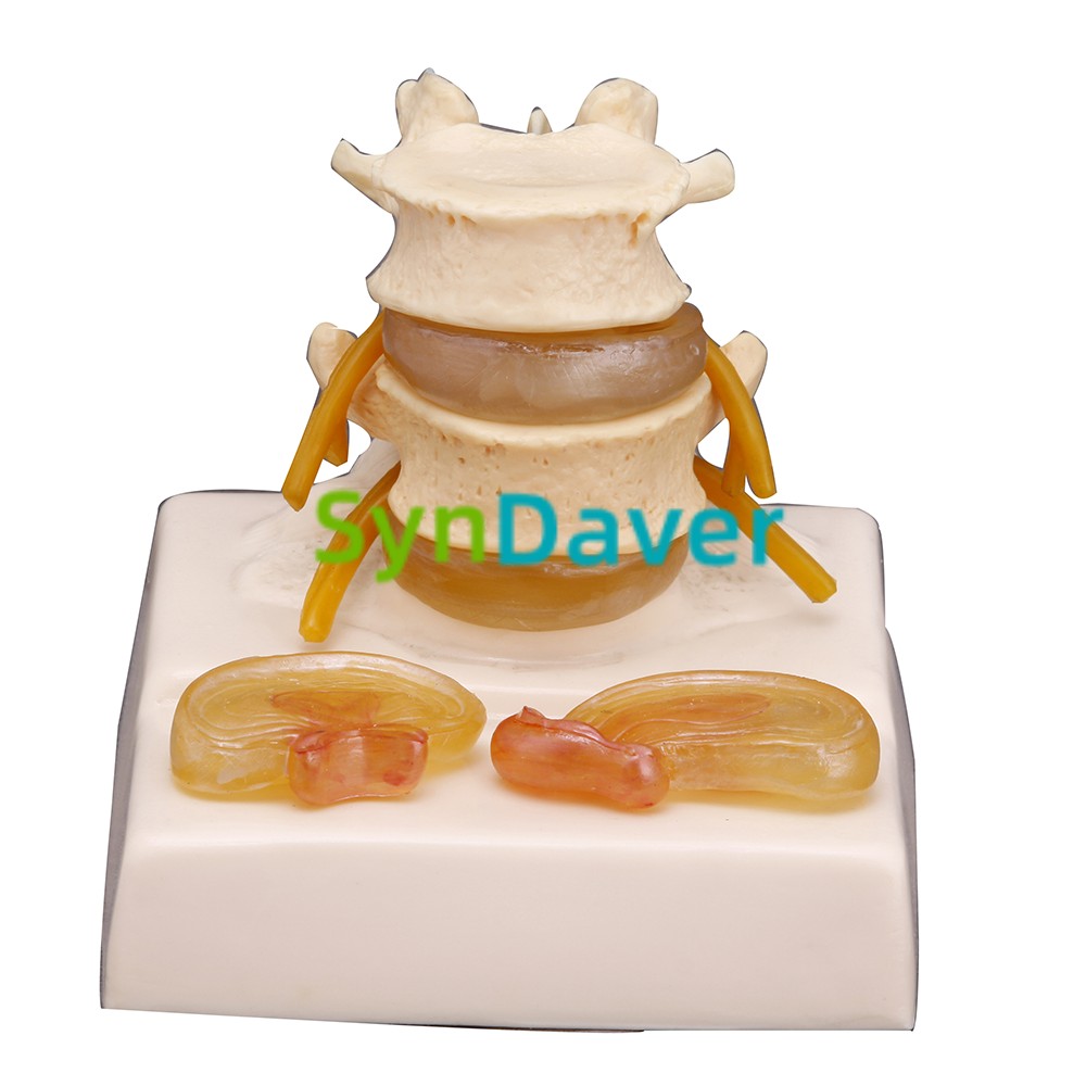 eb7c51cf642dd6bc85b8831adbbde671