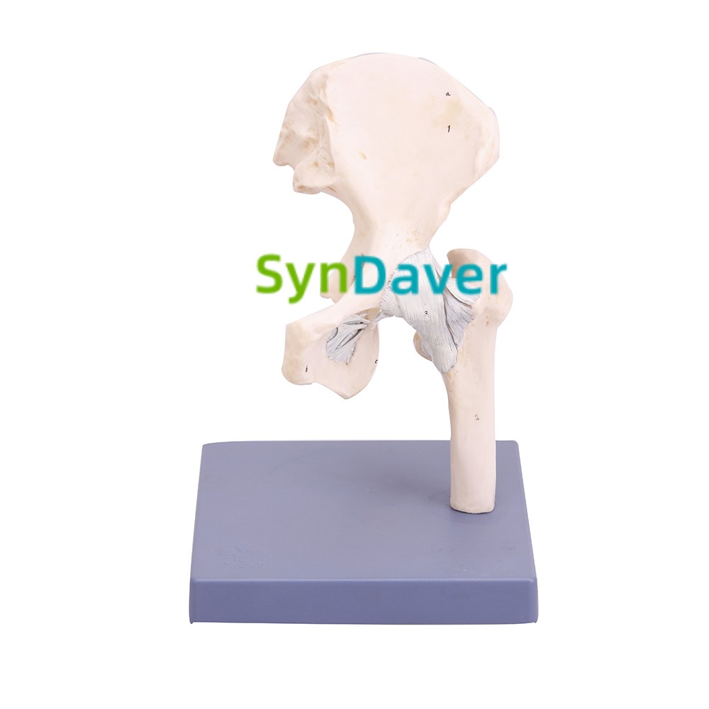 62694cb05011b3cf232fe387acafc9a1