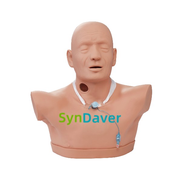 7371032a986b65d05212227220946487