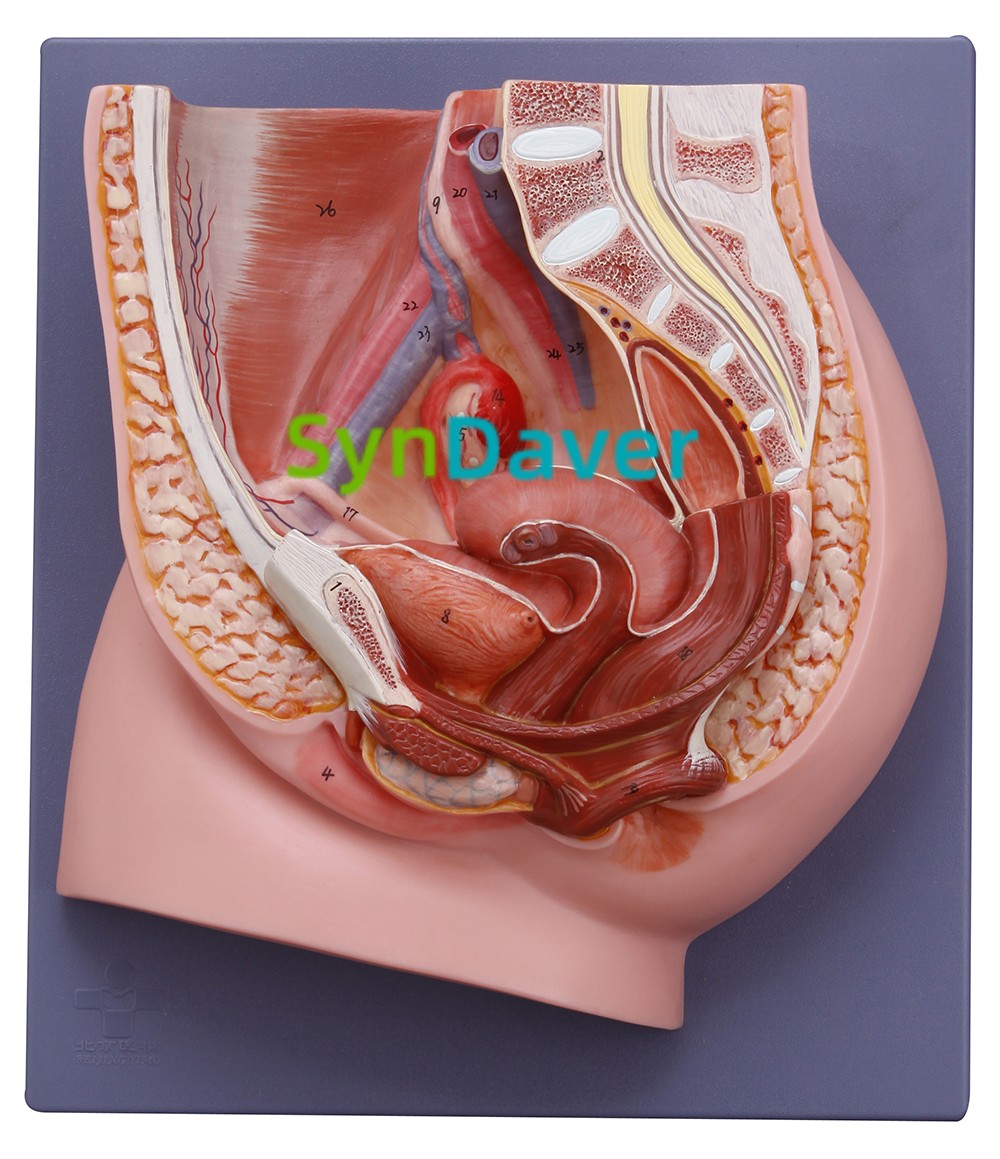 0c861d480a1aec5278d3d2620a16e4bb