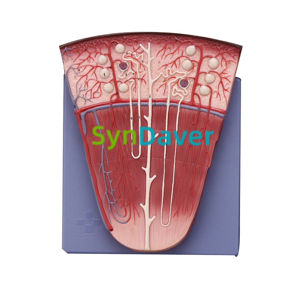 caa9302df9361080c9b8ca7cc9641c66