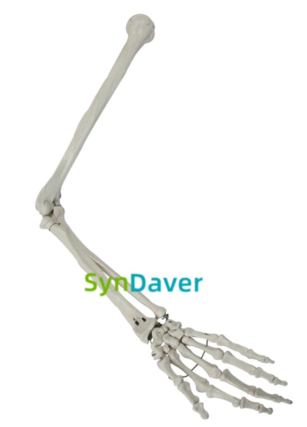 ce815c85aa6a92e1403be645b5395327