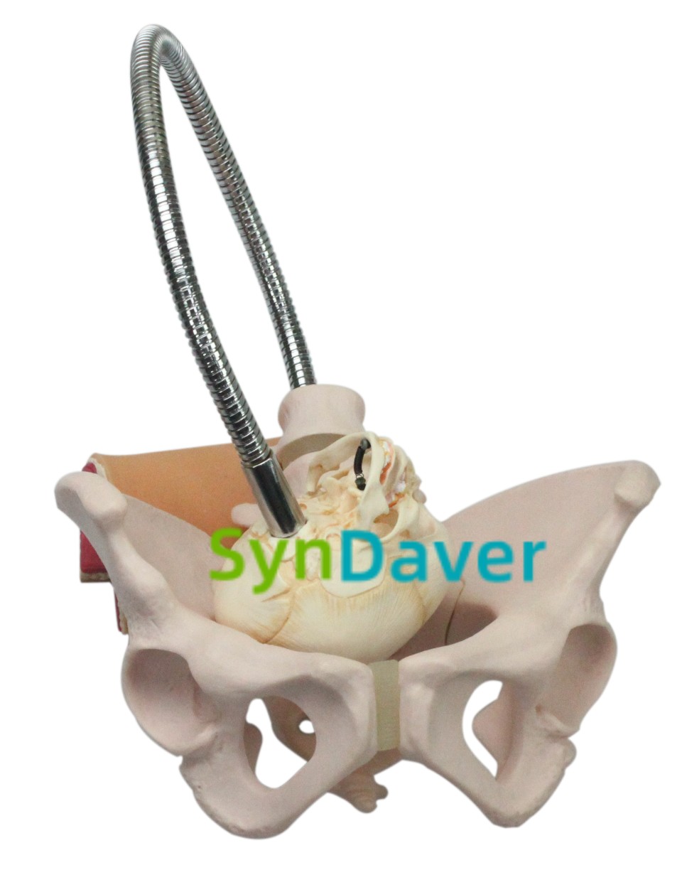 78b87d85a5e05c254f01d041fc3f1a86