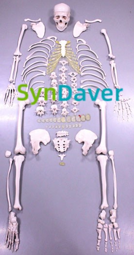 8f8f798784f703be0a4126f5c0e6233b