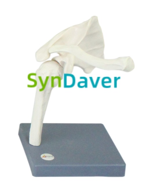 f12be9df88a9d3f9a9490a8425400bc6