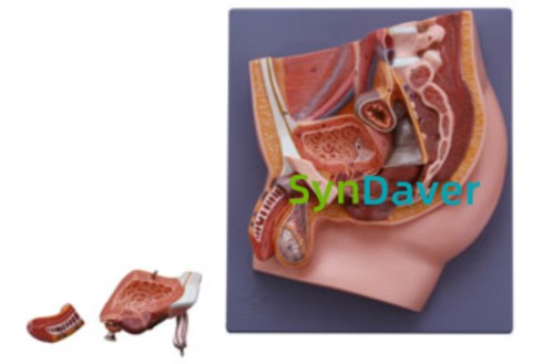 ec64e4785a90c87bdca9164758fdfc15