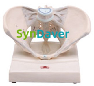 0c2a493929e8eaf4248209787ed437b2