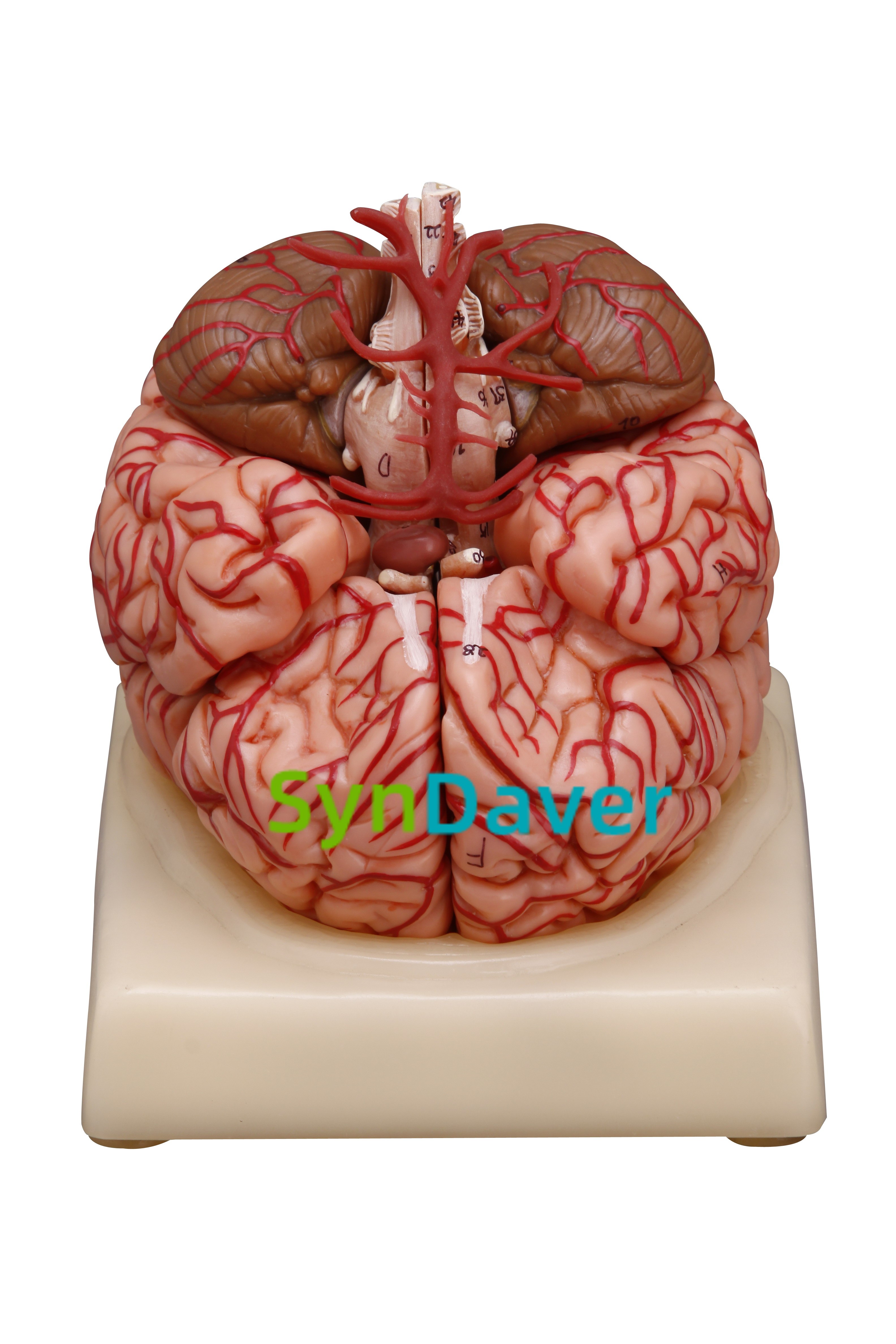 9219190ebe78dadde54cc79ac507ef7b