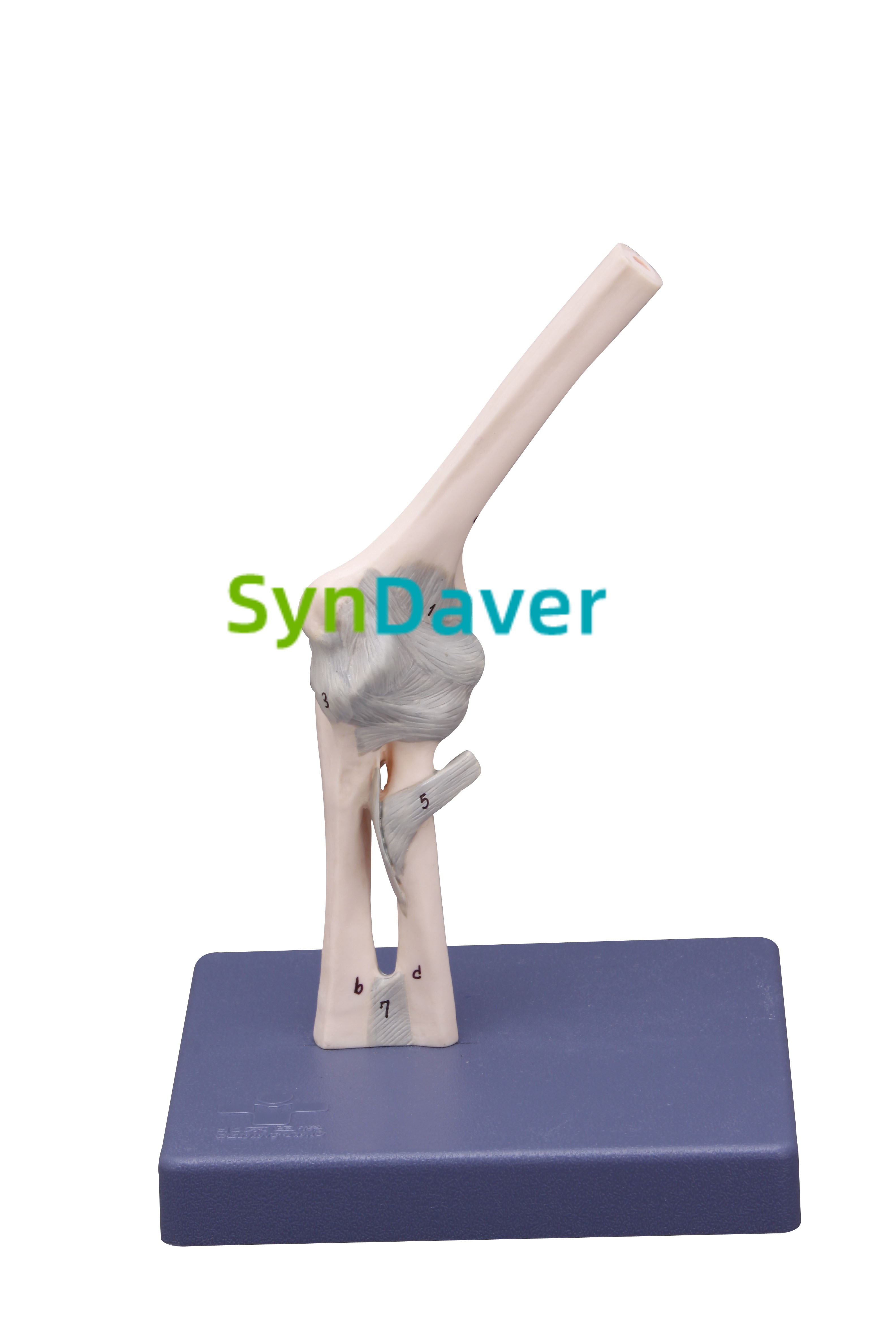 648264c7c4e7aa61d22b63391449020e (1)