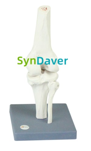 bba8cbf916e4523057232a5f991a5056