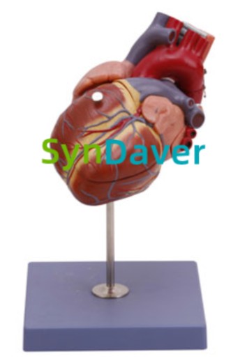 2631527f25ed0fdfc306bc3fd2253349