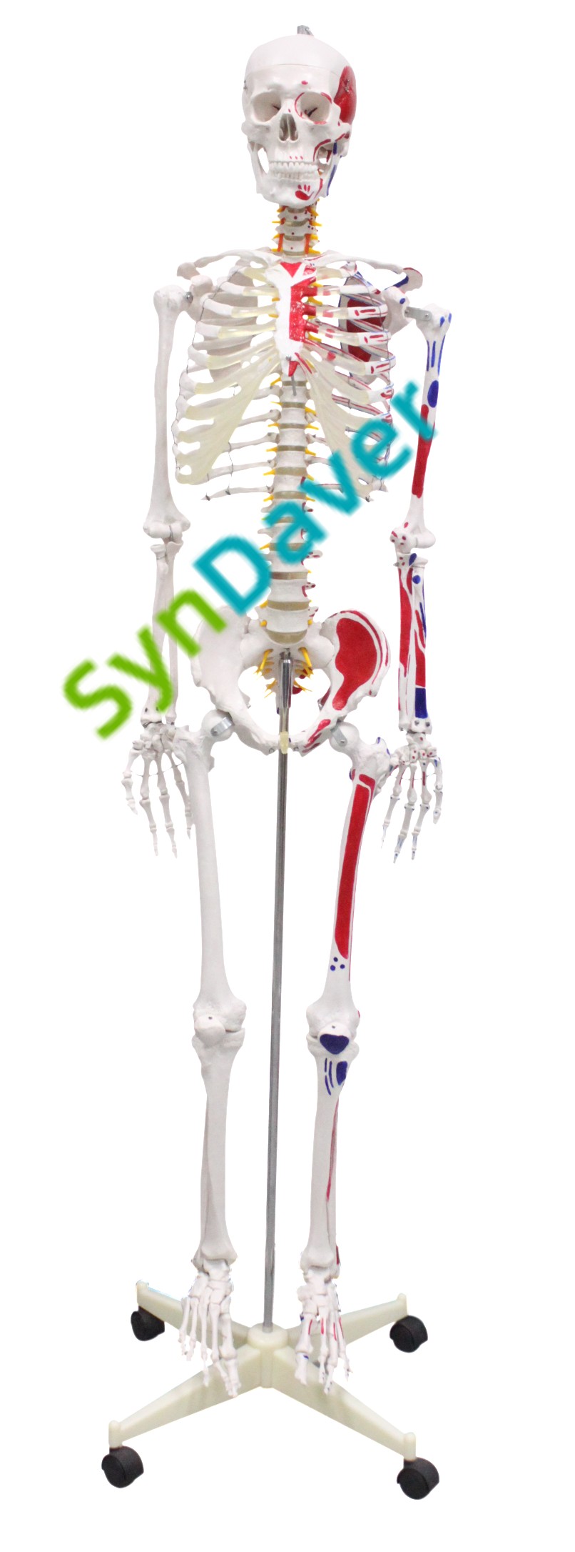 92a54ac44d3af7f79ce02f2b8046082a