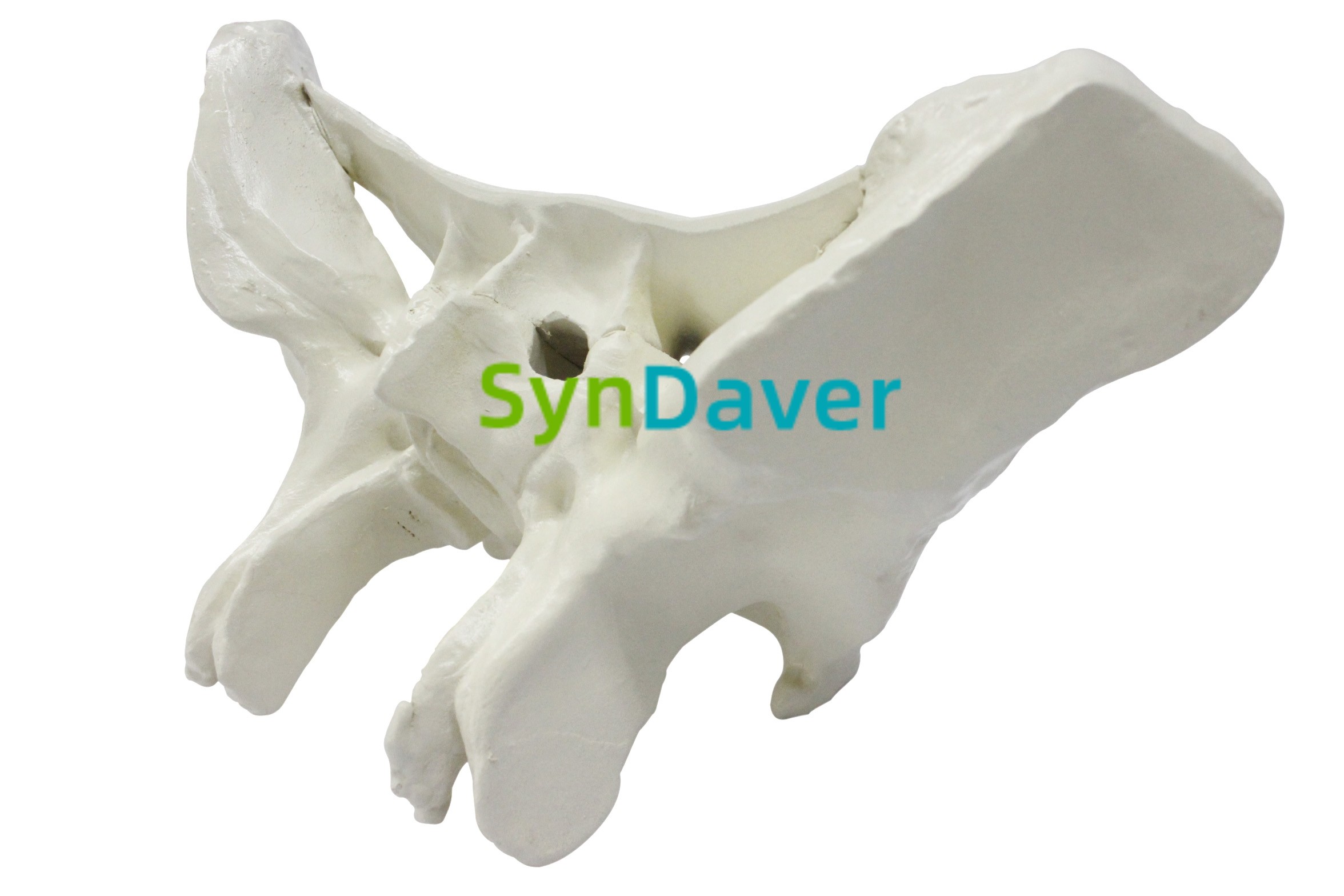 db0921f013b192407b23aa7d96ea2c68