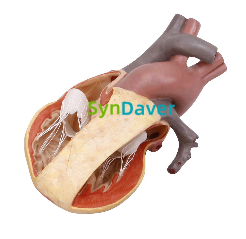 e470026a6e0cf9f5fac3fbe64e7d147a