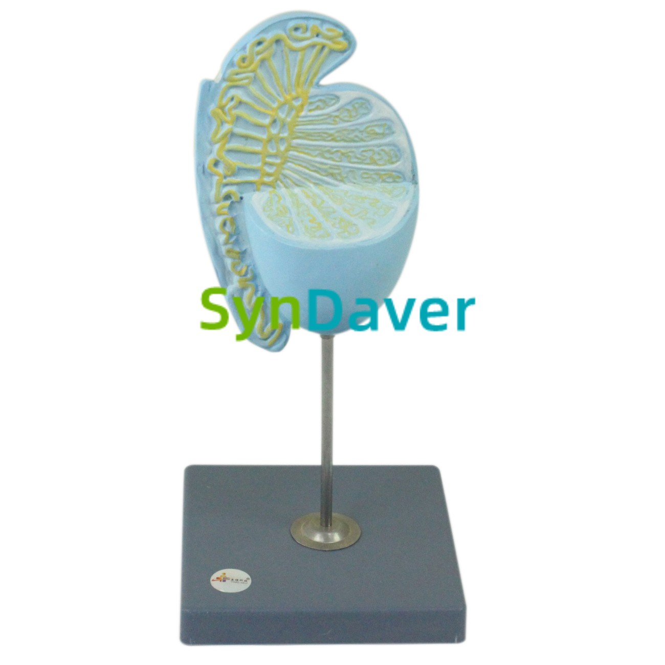 056ef9b0e8ef56ad69a55a6ff2d08830