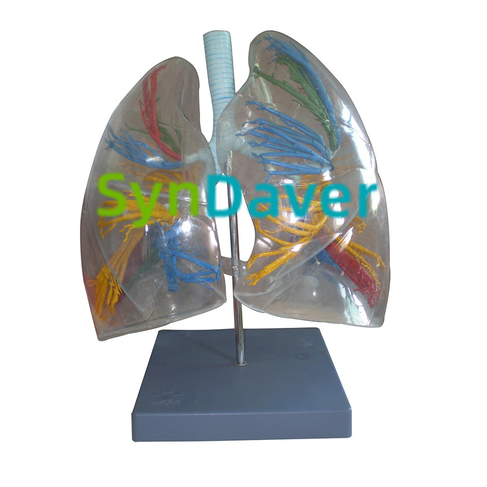 6e7abaa496e7d3ac170215a905ba37fb