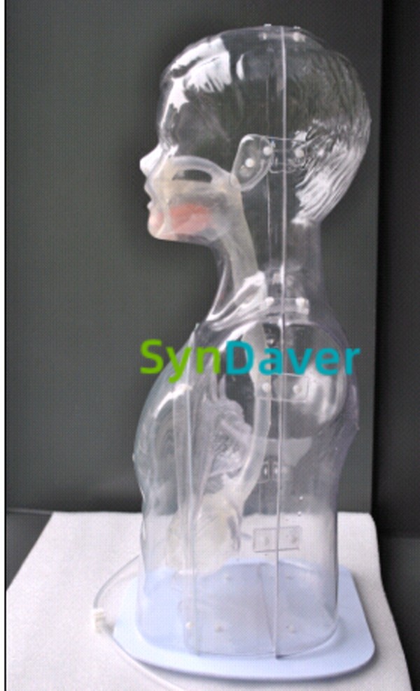 1baaa2e26abedae52d7b1368e6d89cb4