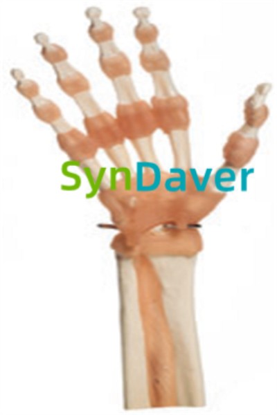 bdef21ba50aef0dedb5ca510ac5fb968