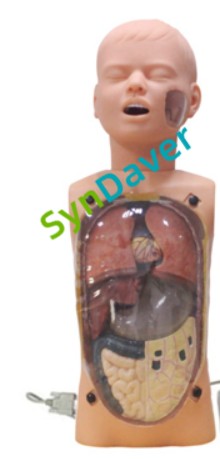 9fd8009574a25820425d8970dd311bf1