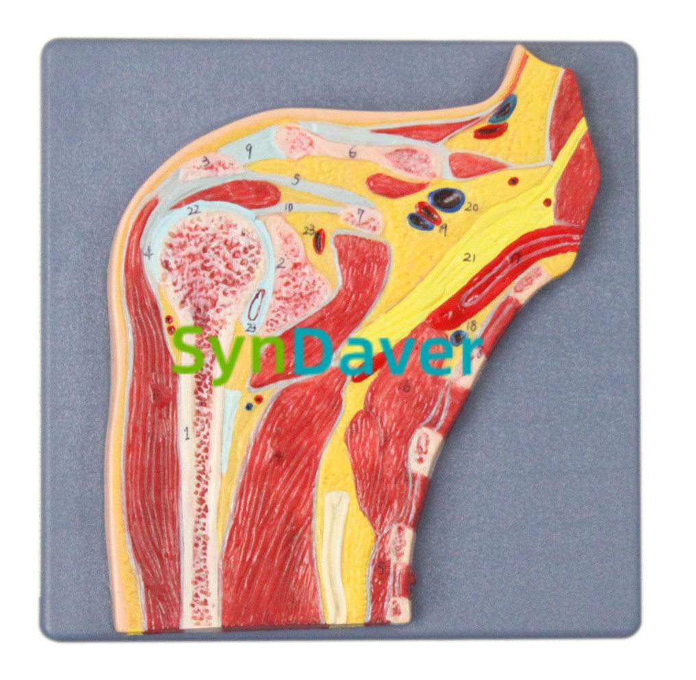 e07a321741af8caafac4154eea5fde2d