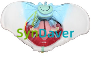 a36c567e75d22c6f7b06d2e5438acf70