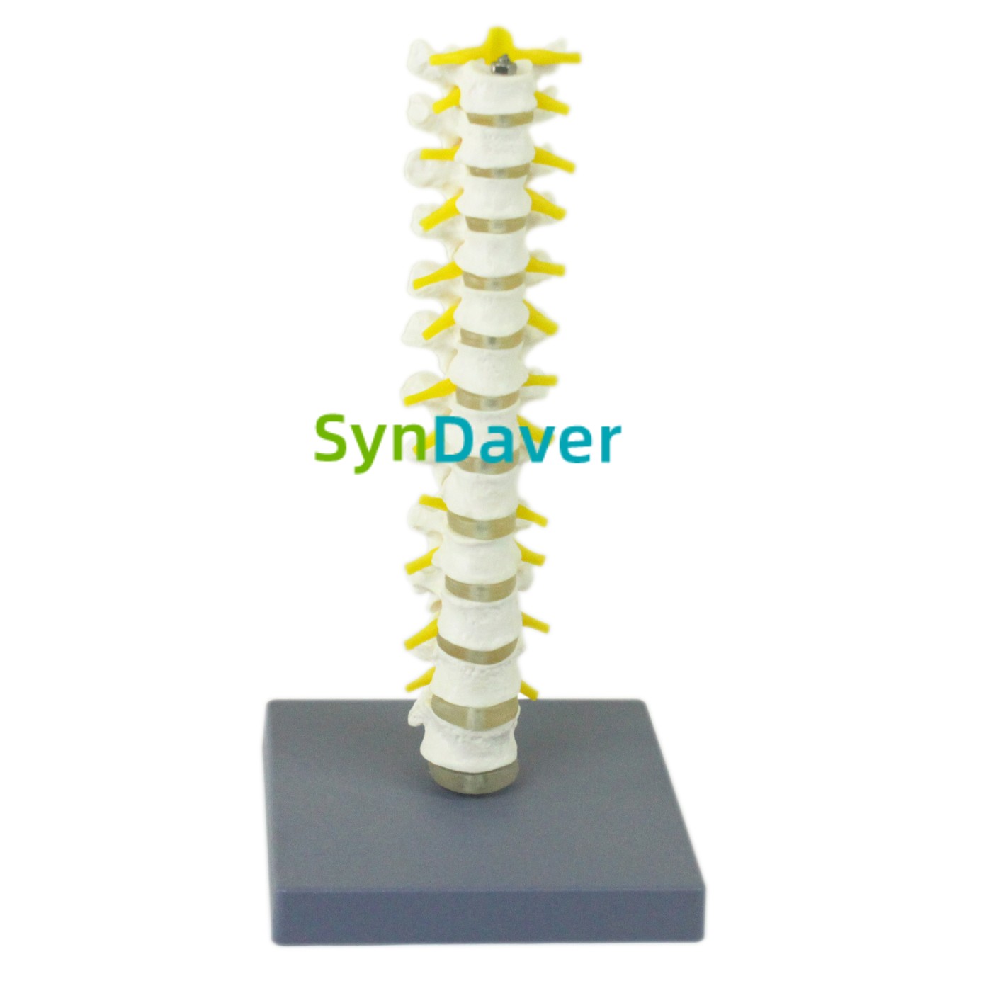 4ab899caa9dd520e07e0794d04c6dcc4